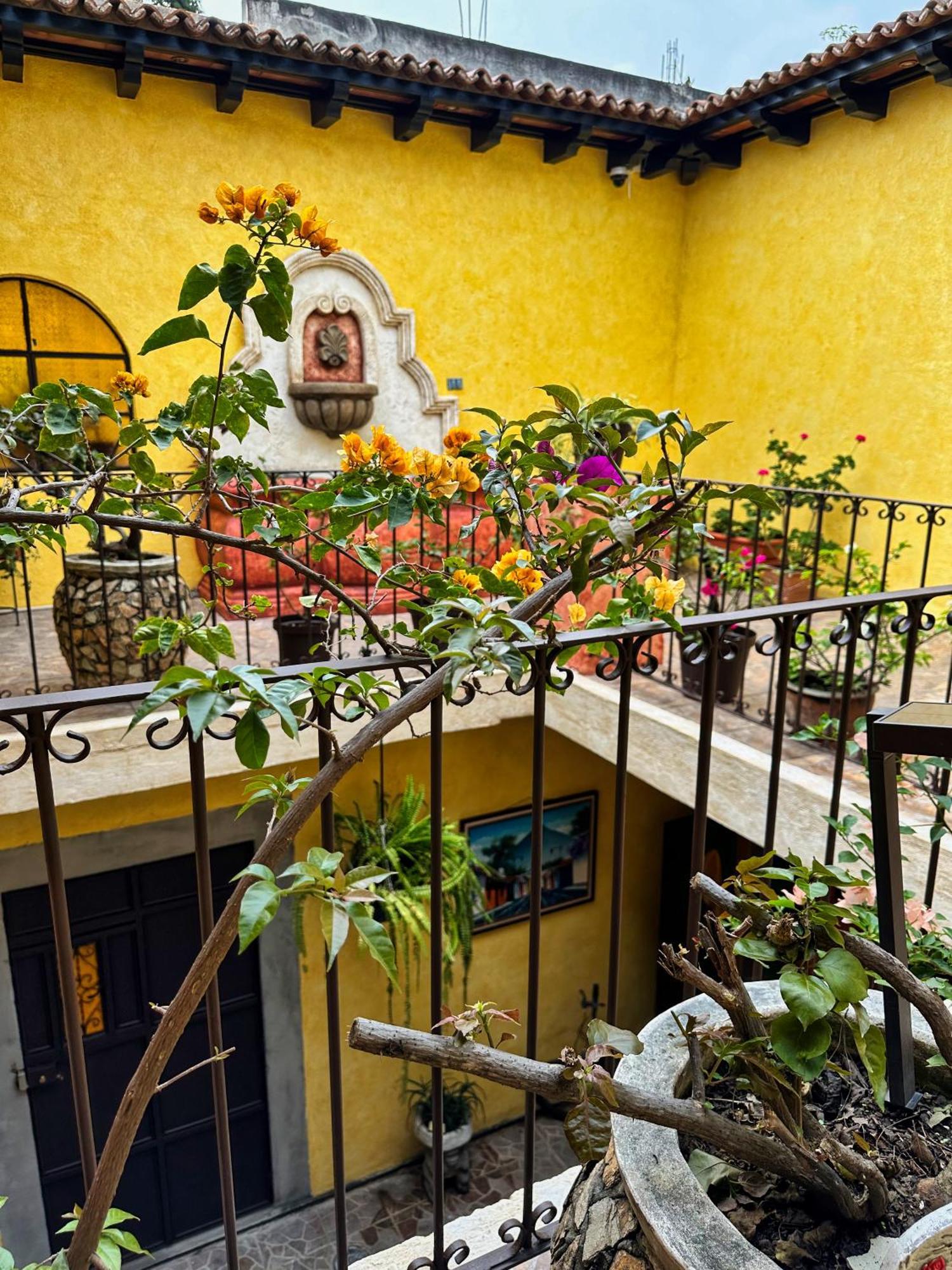 Maison Bougainvillea Antigua Eksteriør billede